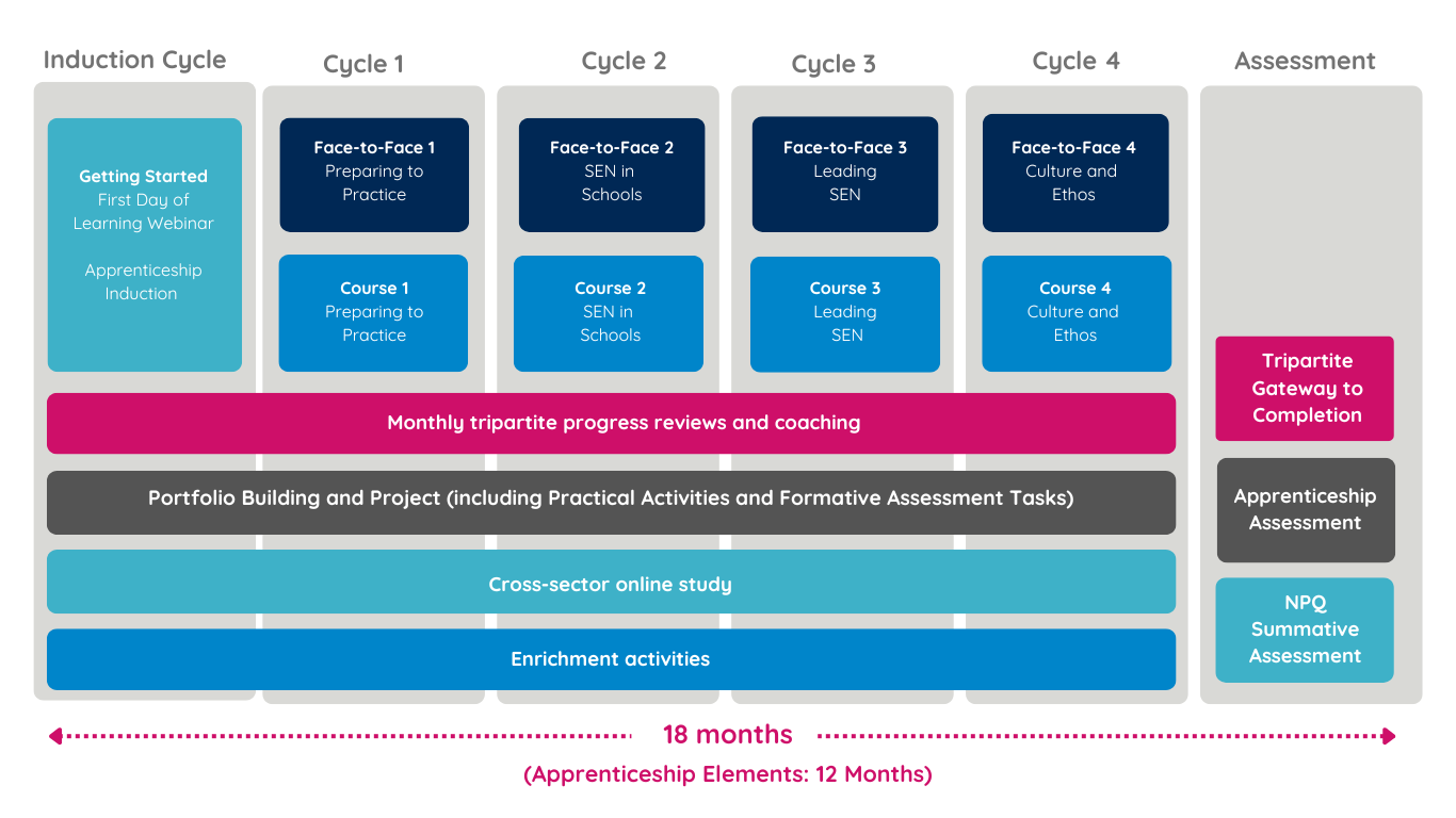 Leader Apprenticeship with NPQ for SENCOs | Best Practice Network