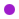 Purple NPQLTD location icon