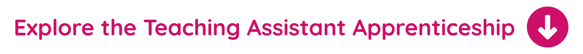 Teaching Assistant Apprenticeship Level 3 | Best Practice Network