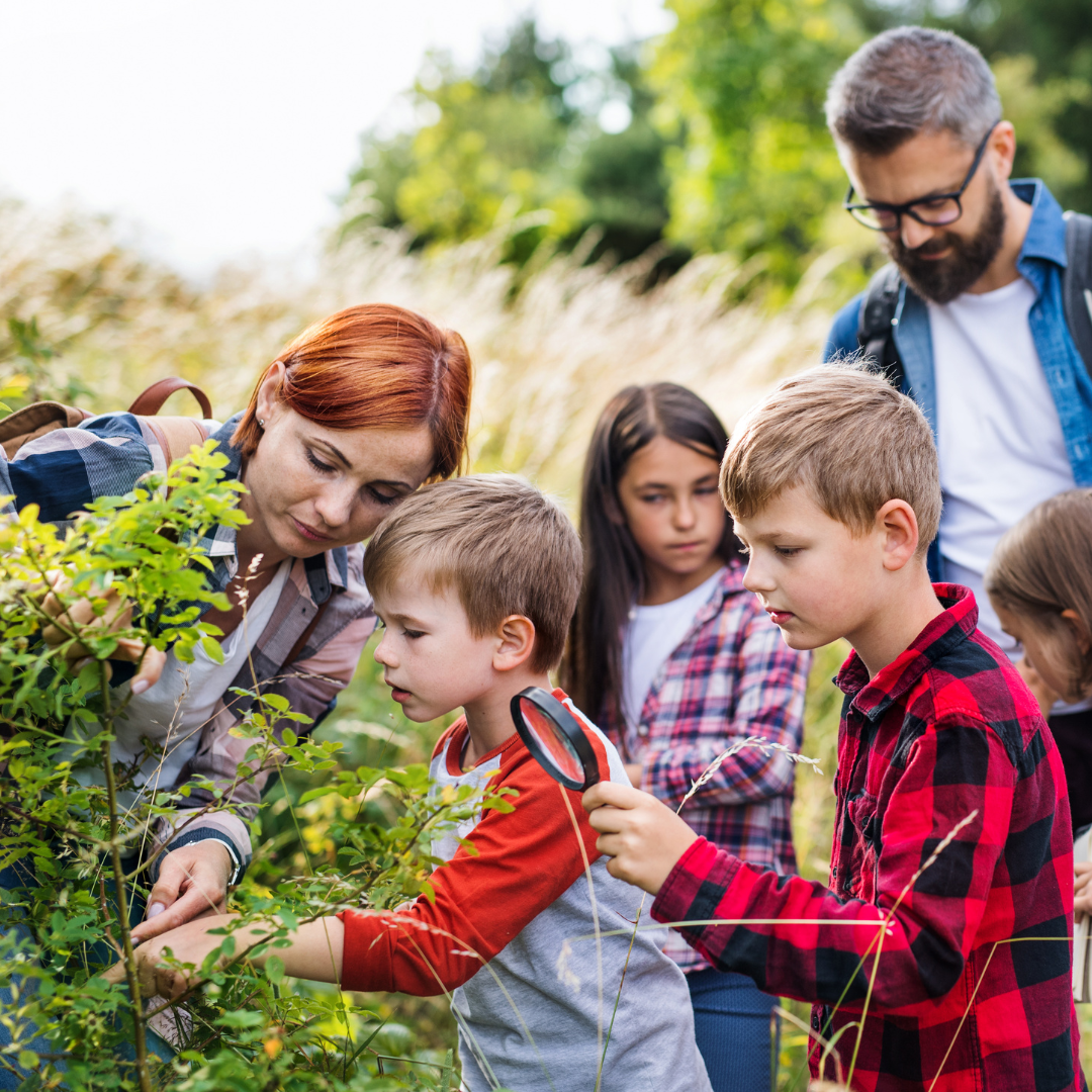 Children searching for bugs